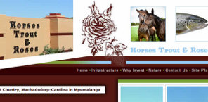 portfolio-horses
